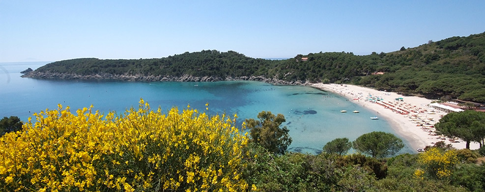 Fetovaia - Elba Island