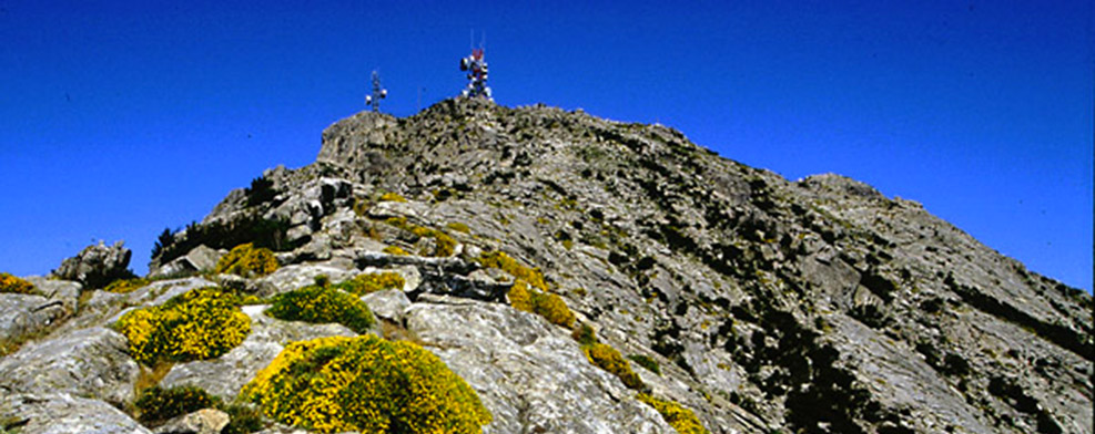 Elba Island, the mountains at Pomonte