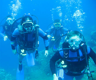 Sport: diving and snorkeling on the island of Elba